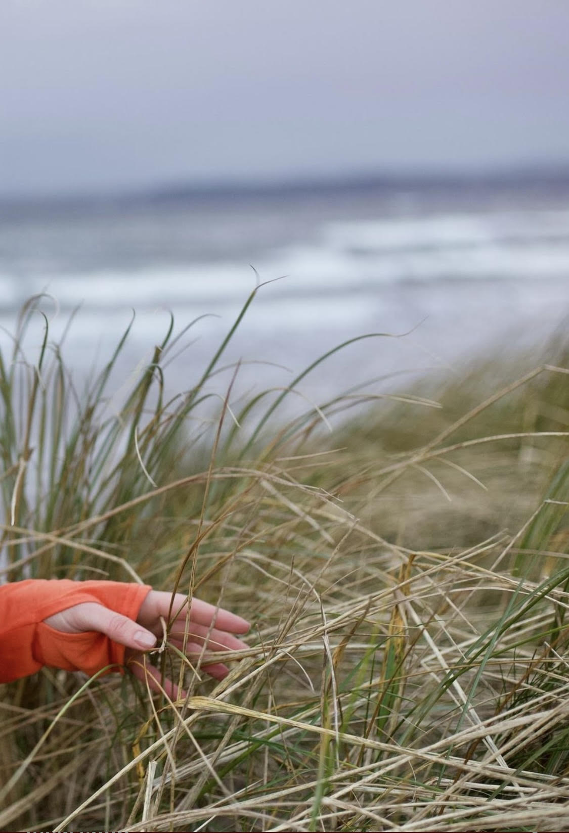 What is Ocean Acidification?
