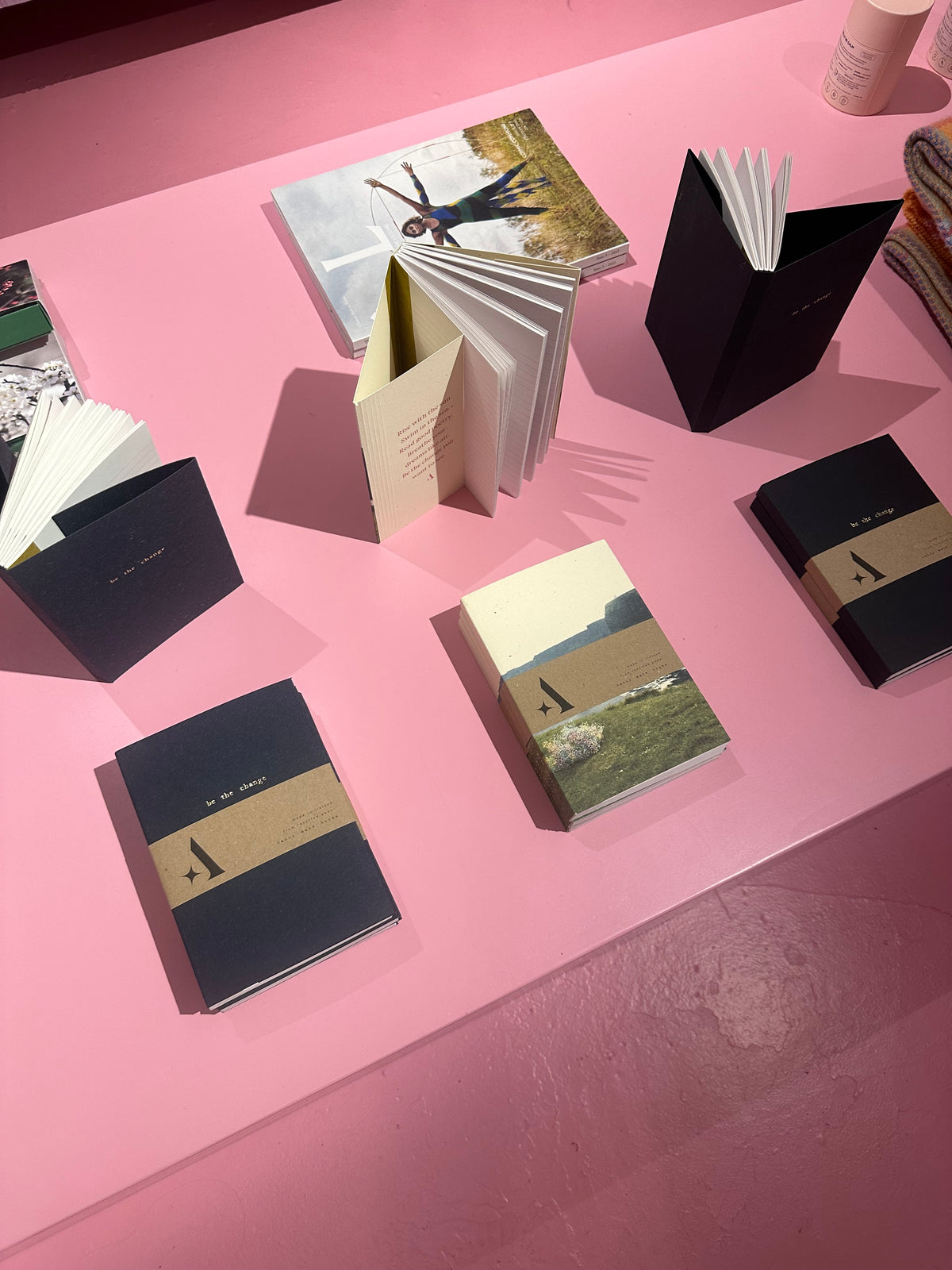 Aoife X Badly Made Books | Be The Change A5