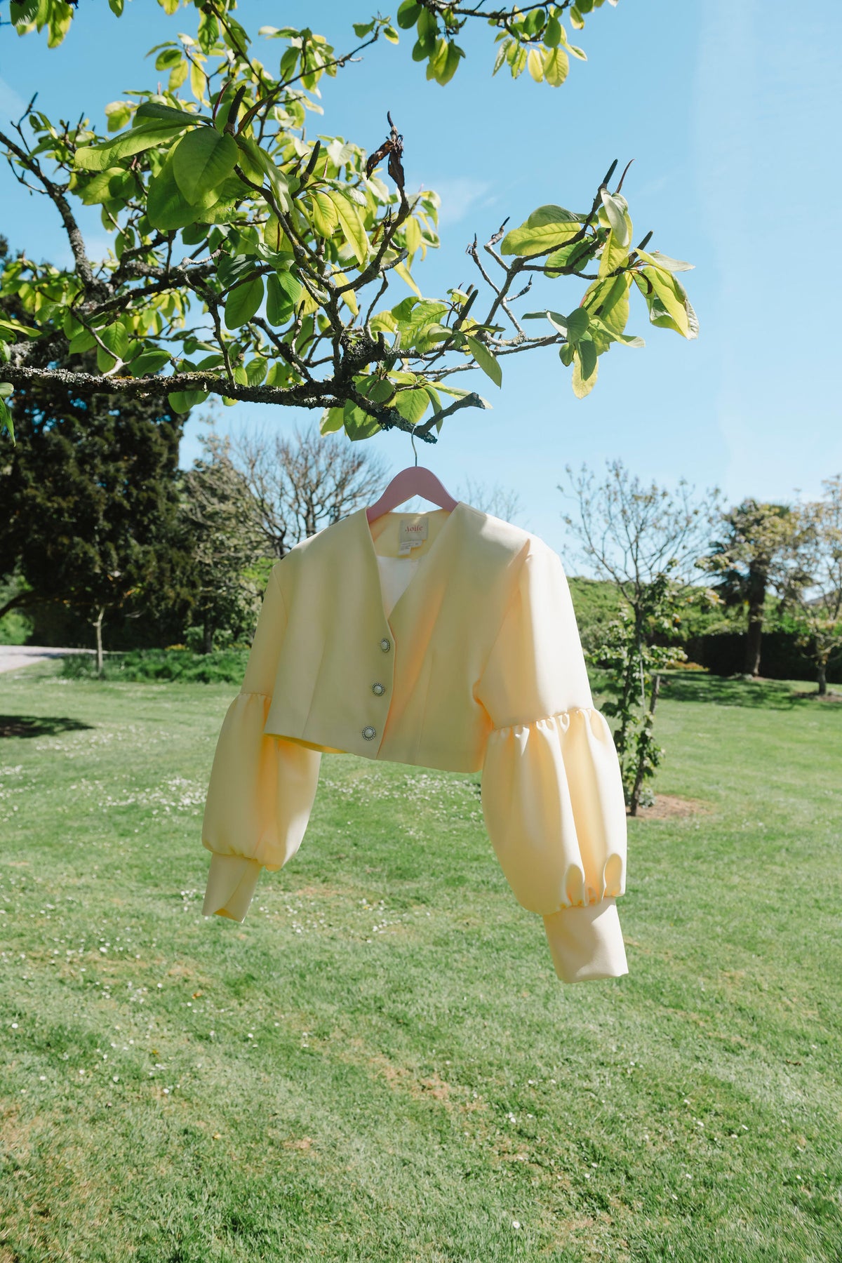 Plain of Honey | A Whisper of Tír na nÓg | Blazer