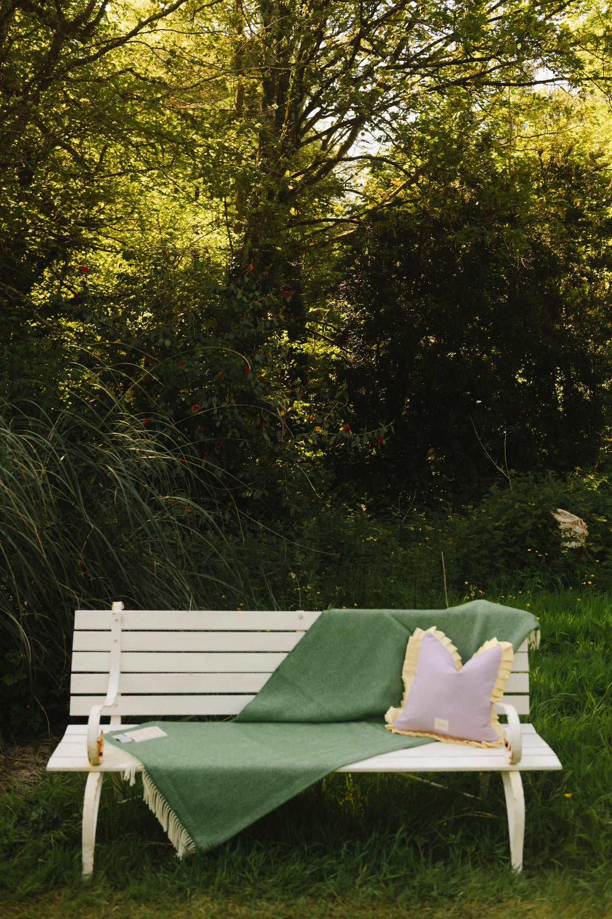 AMN Remagine Cushions