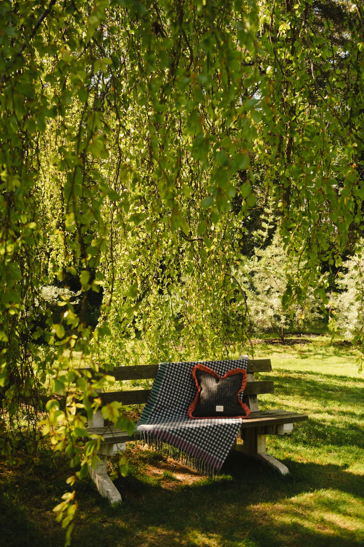 AMN Remagine Cushions