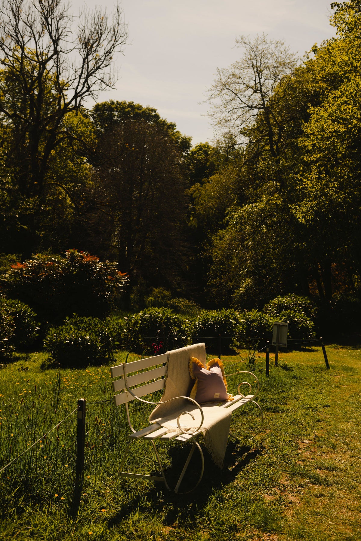 AMN Remagine Cushions