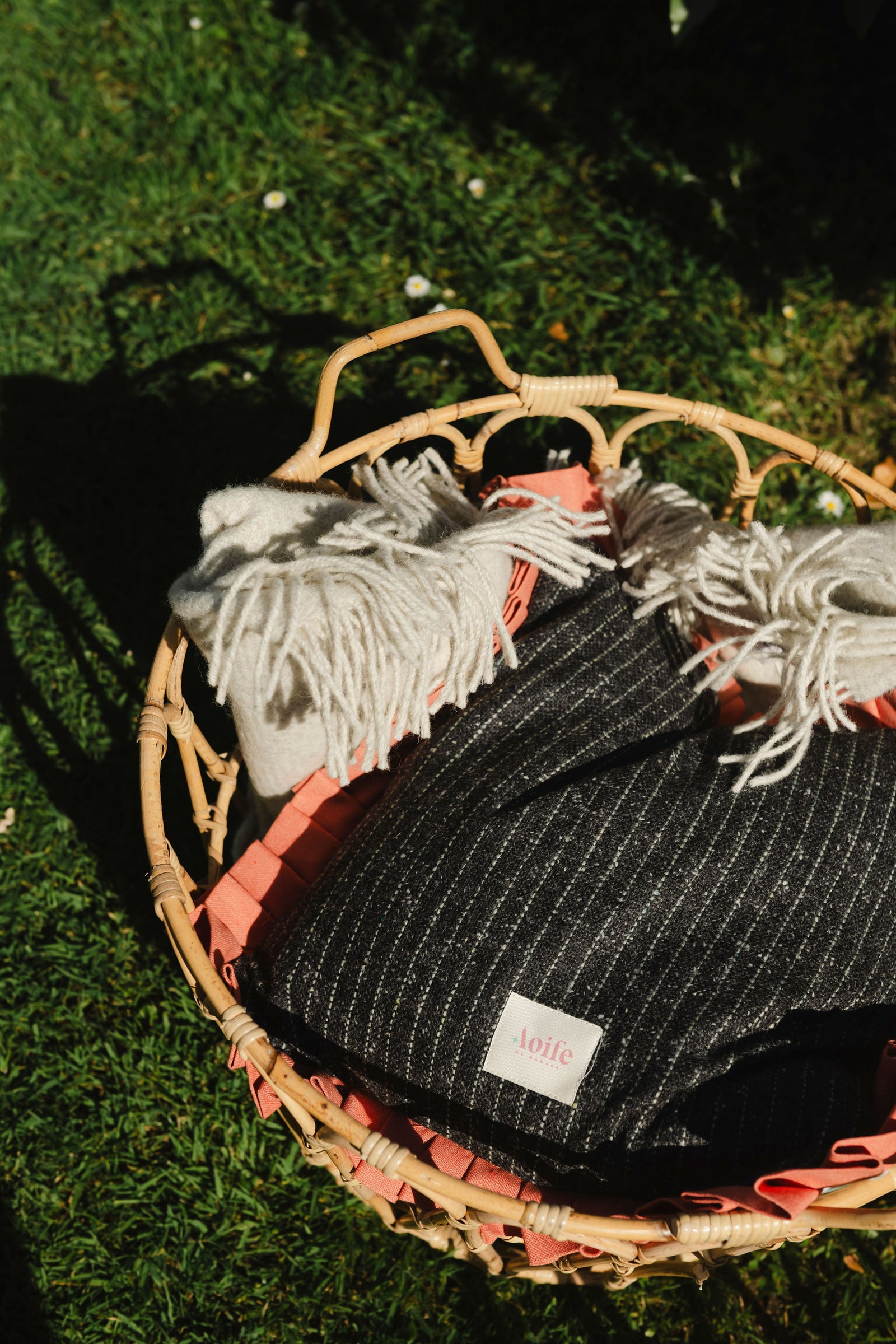 AMN Remagine Cushions