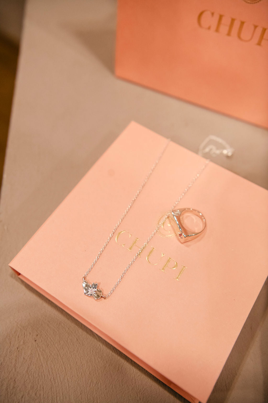 AMN x Chupi Launch at Aoife&#39;s Cottage!! | December 6th