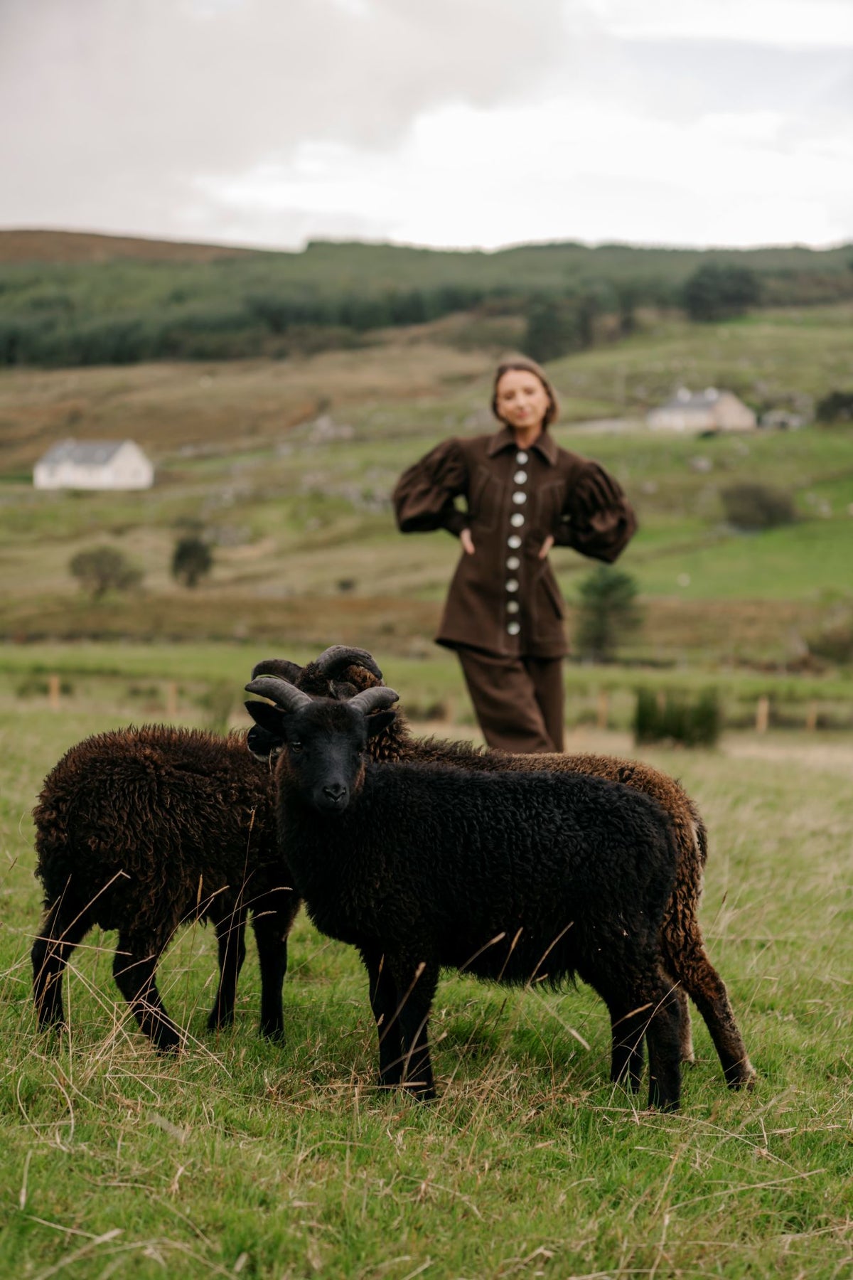 Our Land Blazer | Peat Brown