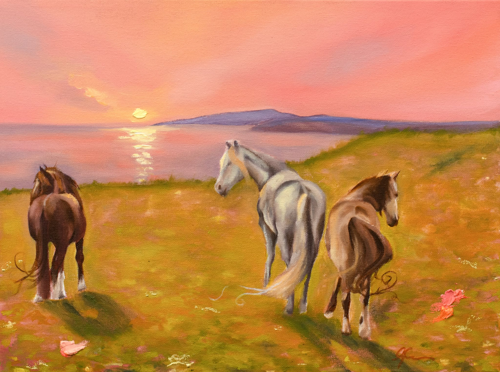 Horses of the West | AMN  x Gemma Cowen