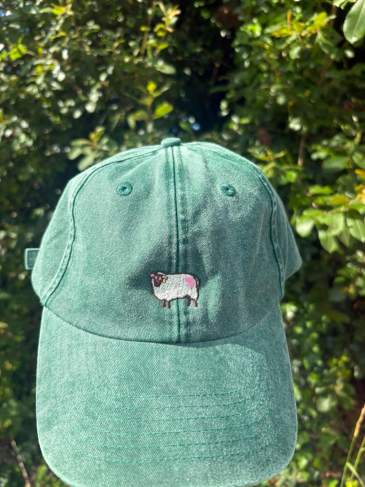 AMN Sheep Cap | Green