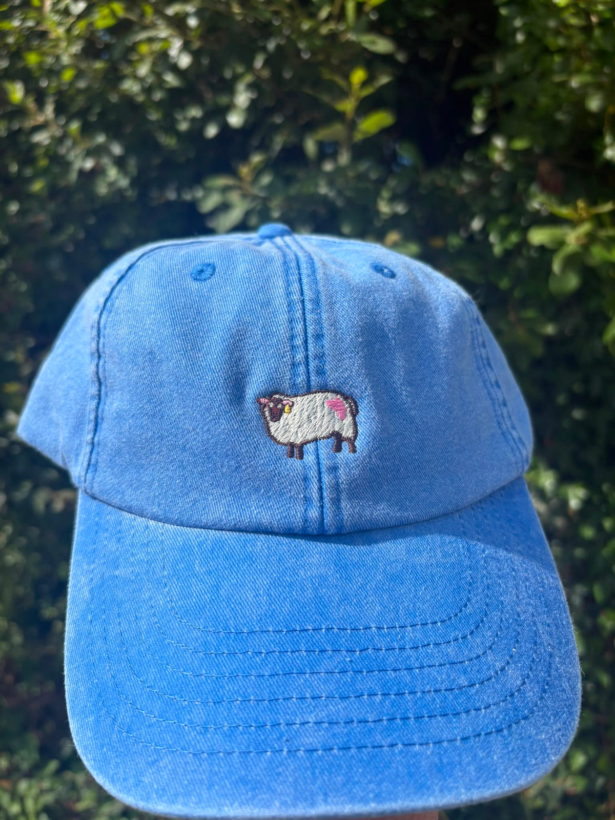 AMN Sheep Cap | Blue