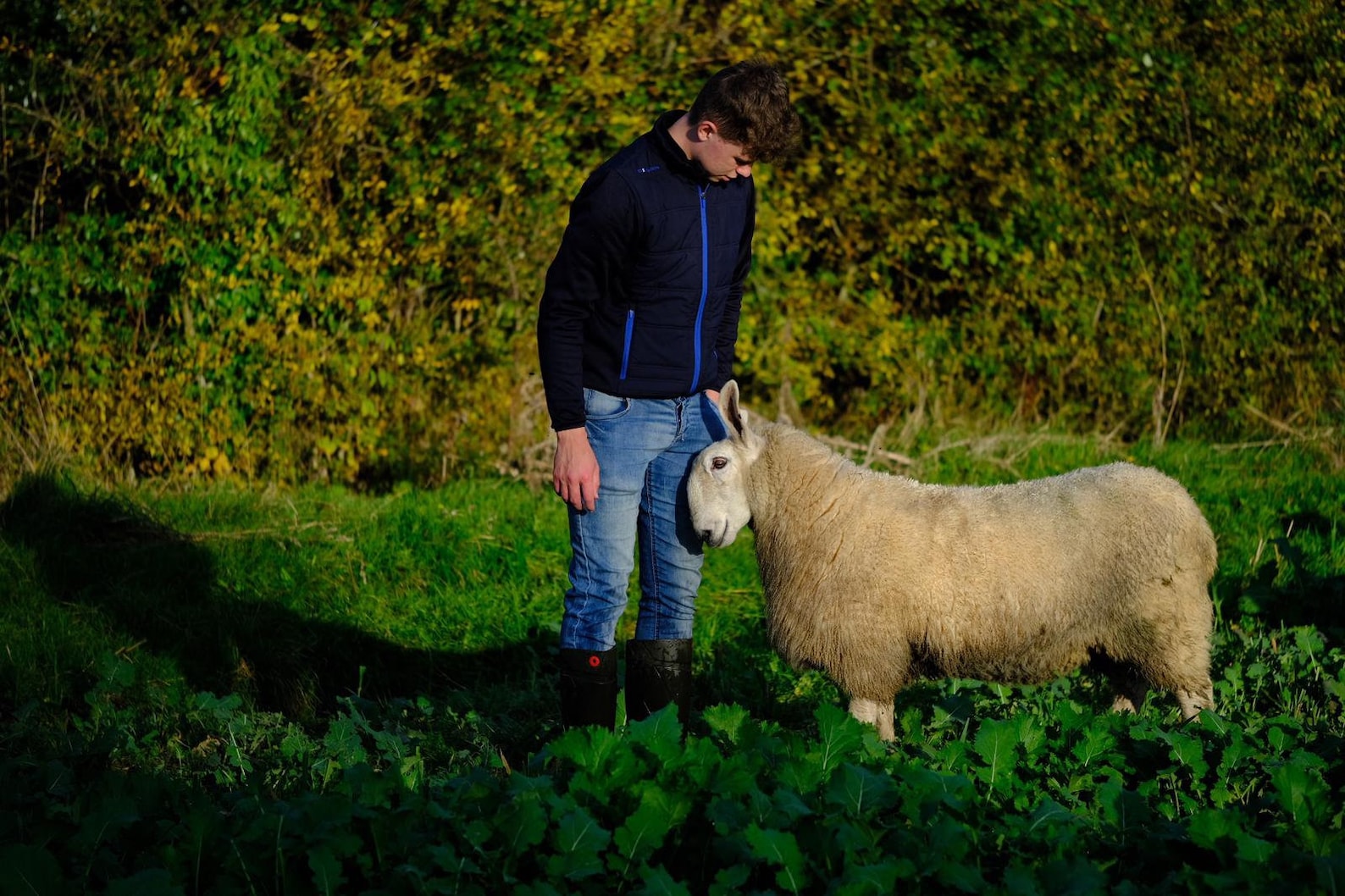 Ciarans Yarns - 100% Irish Wool