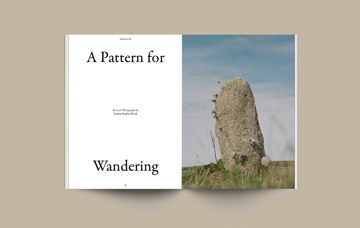 THE LISSOME N°3: Cosmic Commons Cover